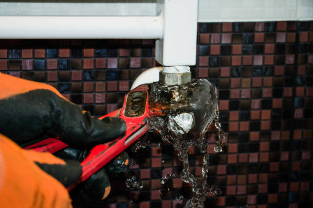 Reparación profesional de fugas